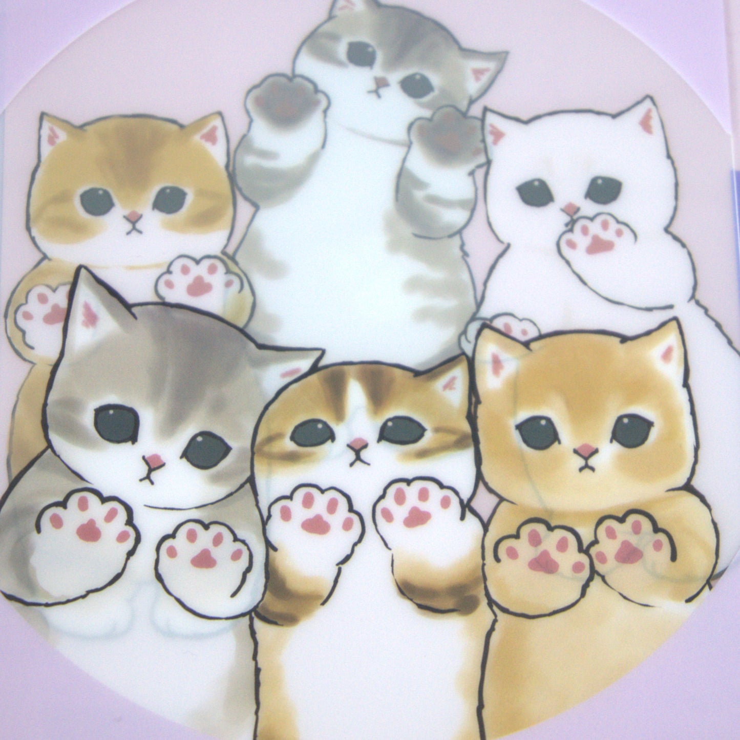 Mofusand A6 3 Pocket Folder Kitty Paws
