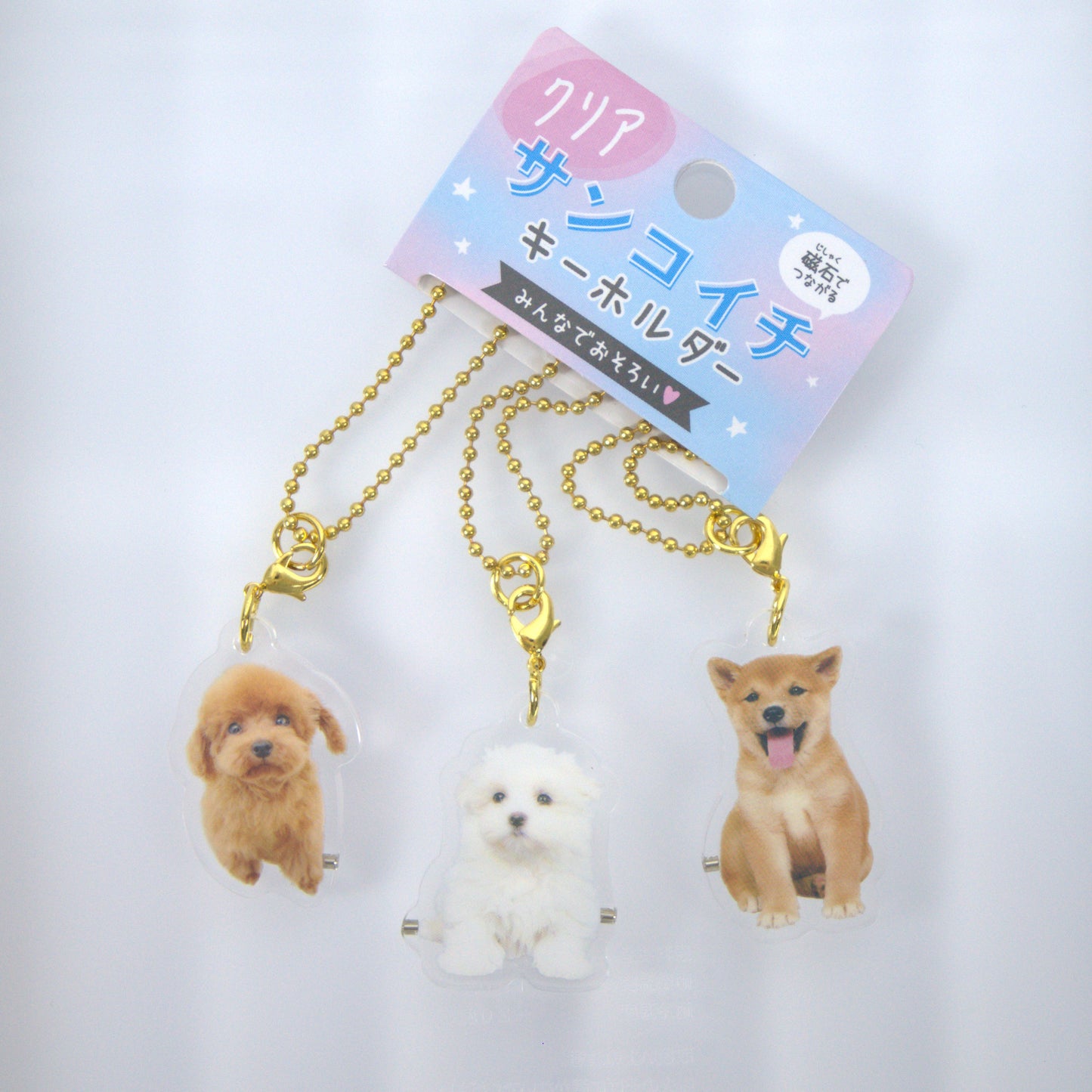 Crux Acrylic Triple Keychains Puppies