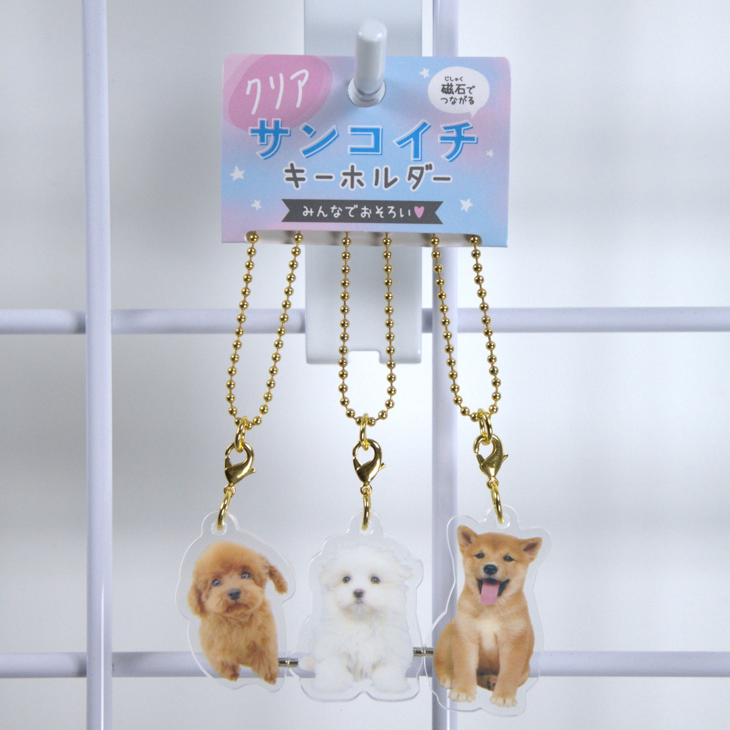 Crux Acrylic Triple Keychains Puppies