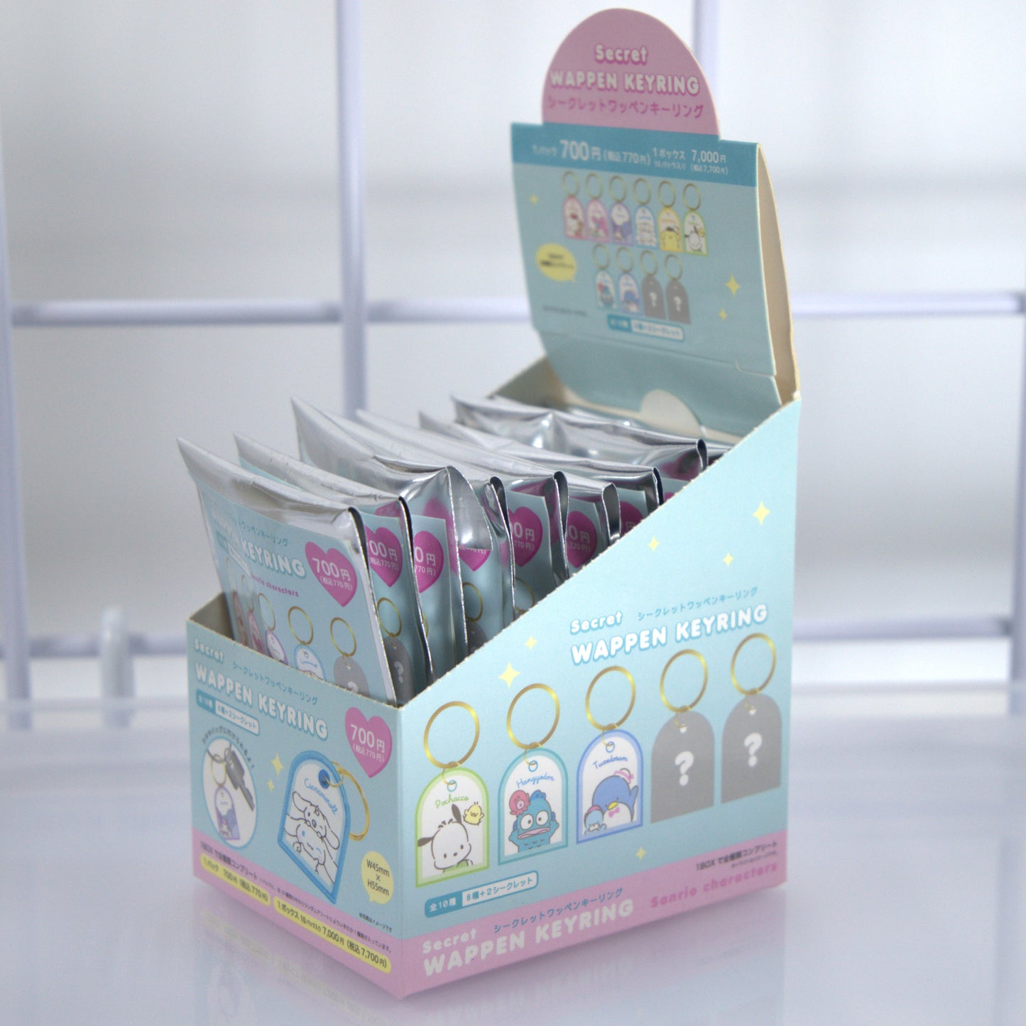 Sanrio Badge Blind Box