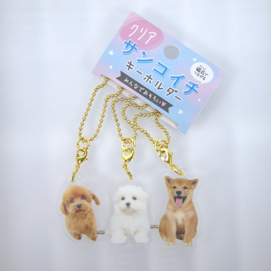 Crux Acrylic Triple Keychains Puppies