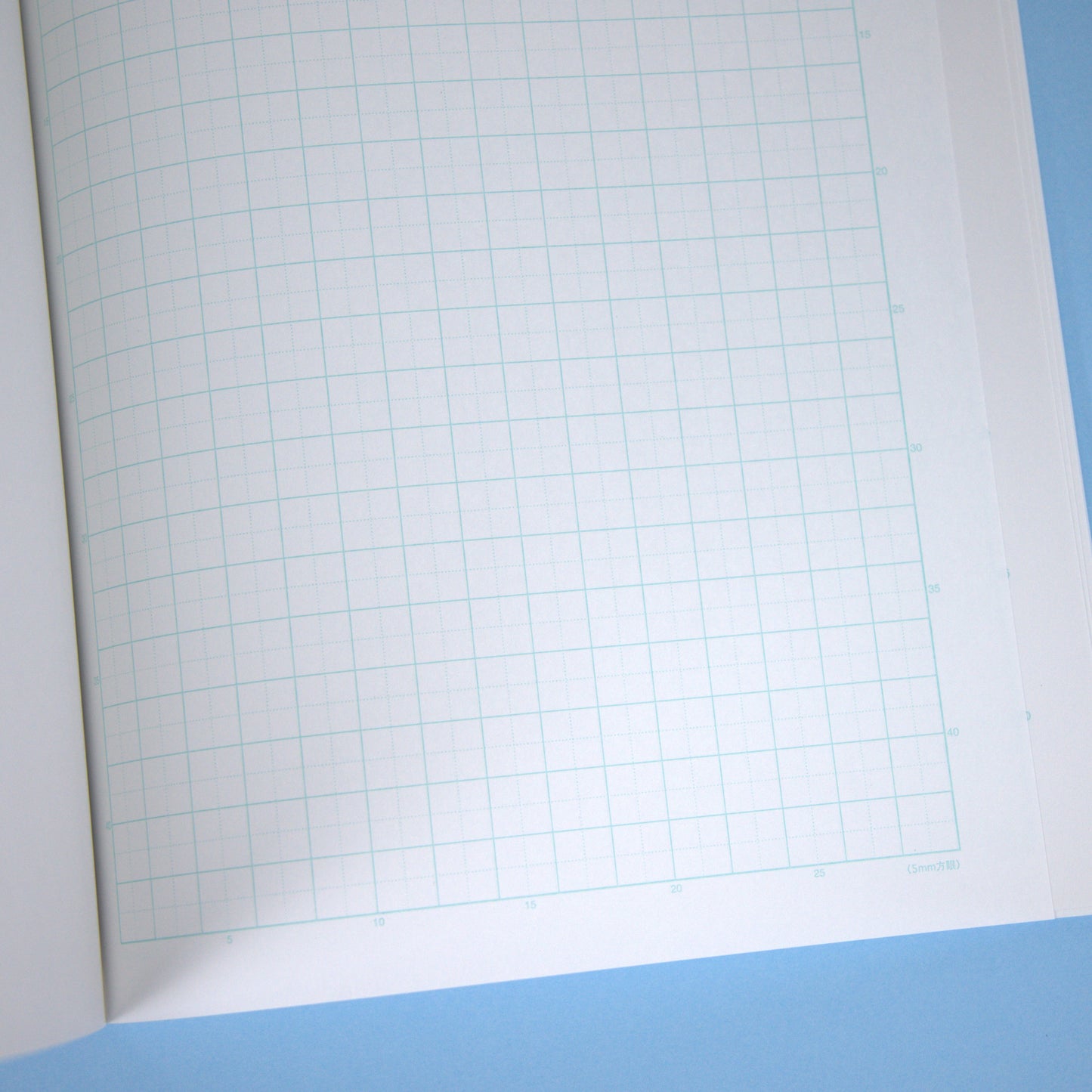 Crux Nombiri Enaga Chan Notebook Gridlines